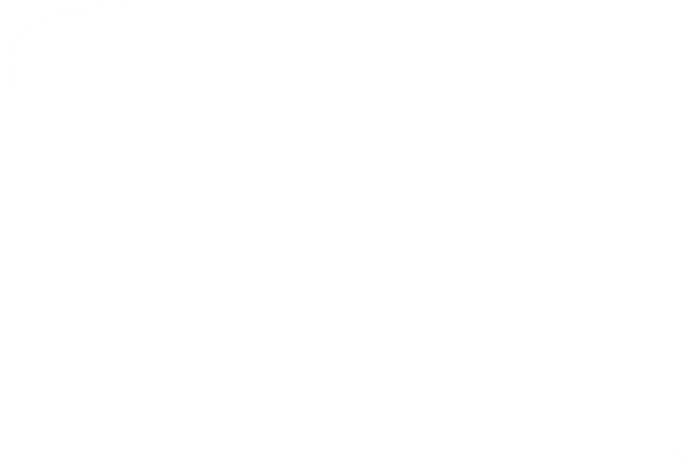 TRANSMIVA